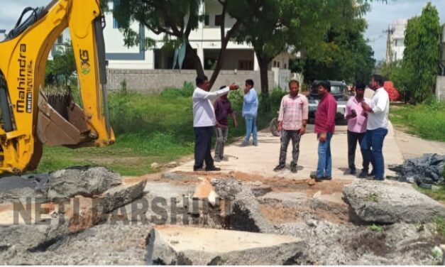 PARK: పార్కుల ఆక్రమణలపై ఉక్కు పాదం